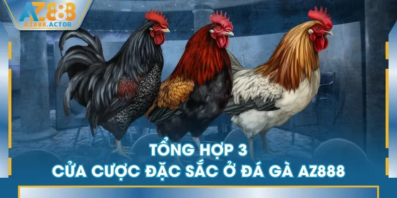 Tổng hợp 3 cửa cược đặc sắc ở Đá Gà AZ888 Tổng hợp 3 cửa cược đặc sắc ở Đá Gà AZ888